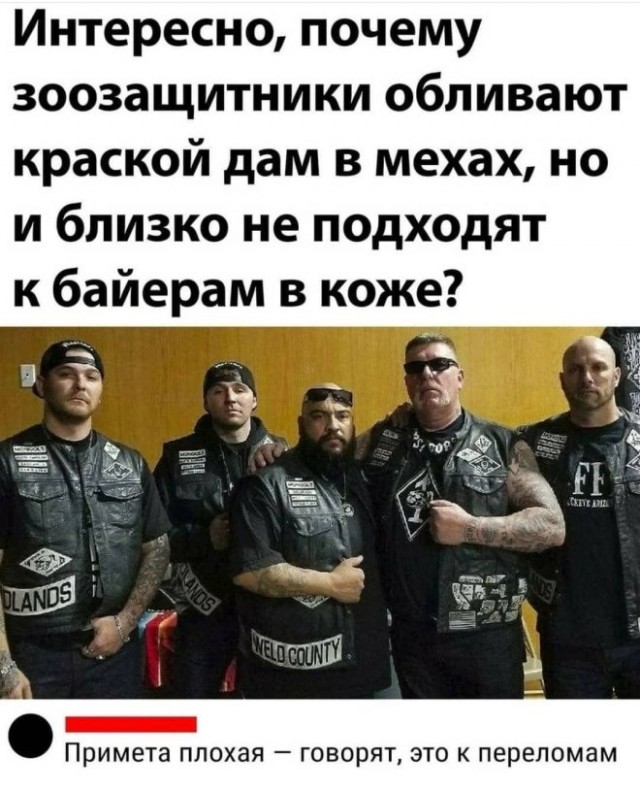 Веселые картинки в понедельник (19.05)