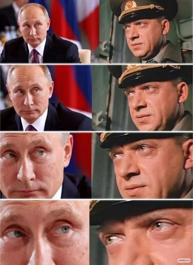 Путин: принято решение о создании буферной зоны безопасности вдоль границы РФ и Украины
