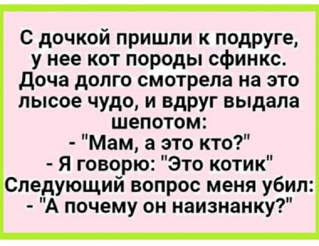 Так себе картинки 03.09.25