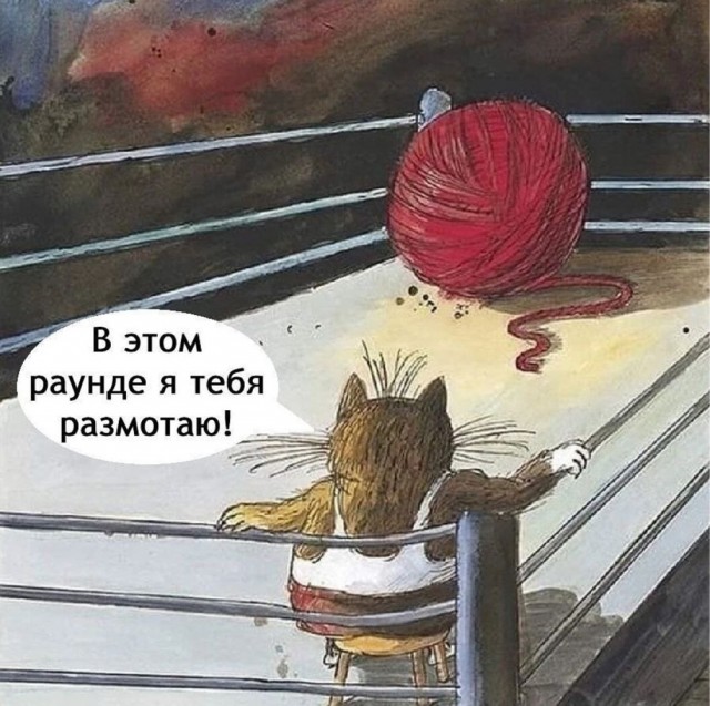 Картинки для деградации 46 (разной степени свежести)