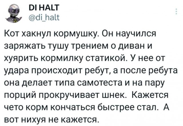 Немного картинок накануне выходных