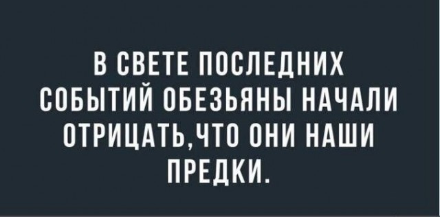 Субботние картинки