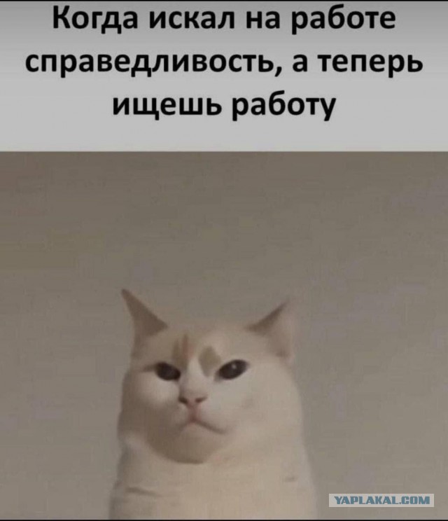 Одна картинка