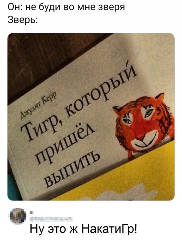 Так себе картинки 21.12.25