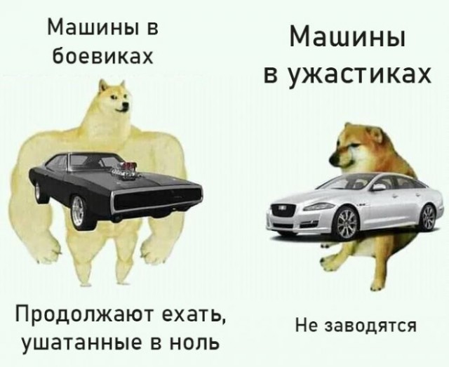 Веселые картинки в пятницу (26.12)