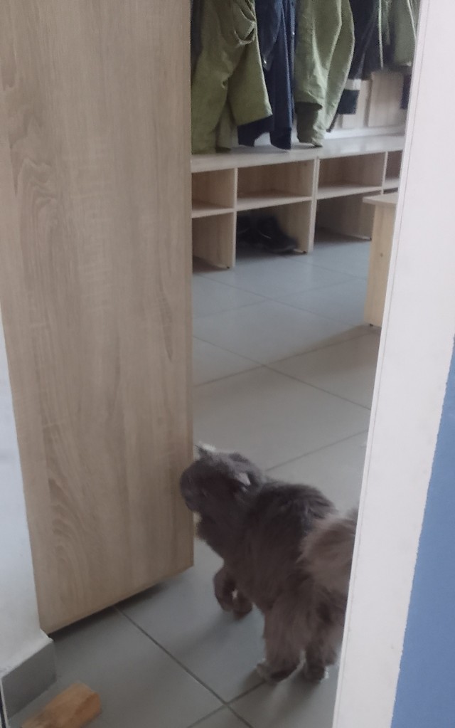 Беспредел