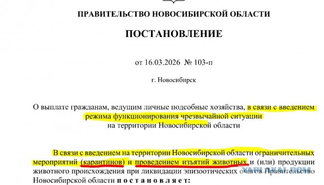 Ситуация с изъятием скота резко ужесточилась: силовики пришли за коровами в Чувашии, в Козихе убили монастырского оленя.