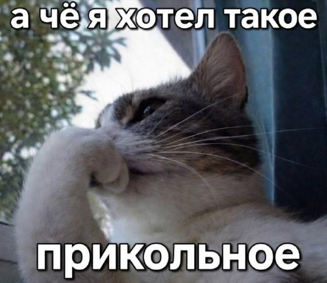 Картинки для деградации 168 (разной степени свежести)