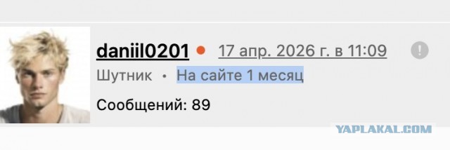 Историческая глупость