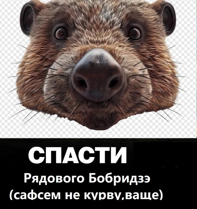 Компанейский бобер