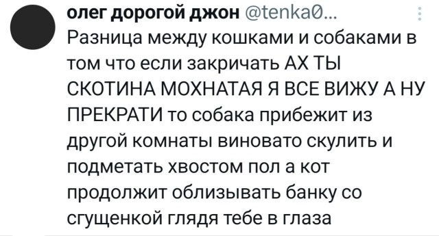 Картинки для деградации 309 (разной степени свежести)