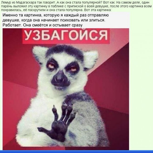 Откуда взялся узбагойся