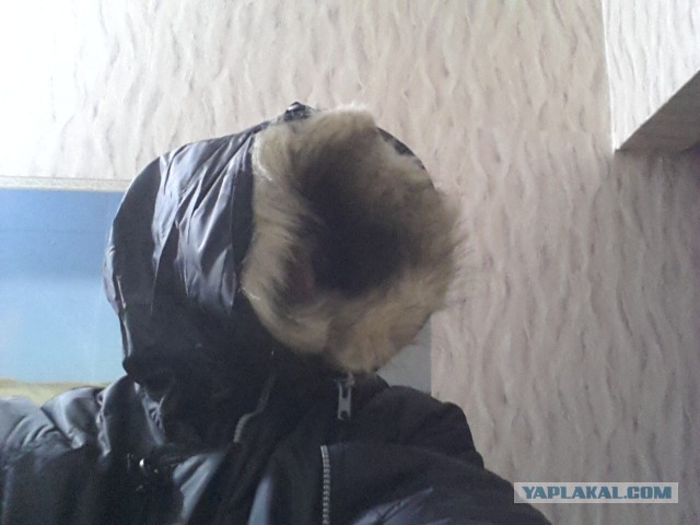 Это в Ноябрьске так холодно!