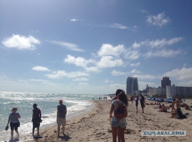 Поездка в Miami