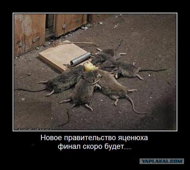 Яценюк: Украина найдет всех зачинщиков сепаратизма