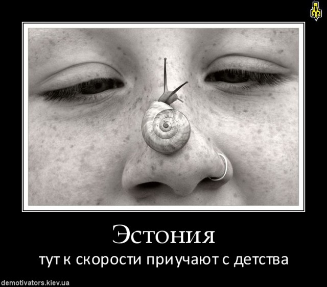 Эстонцы прикол. Эстонцы прикол. Эстонские разведчики анекдот. Демотиваторы про снайперов. Эстония демотиваторы.