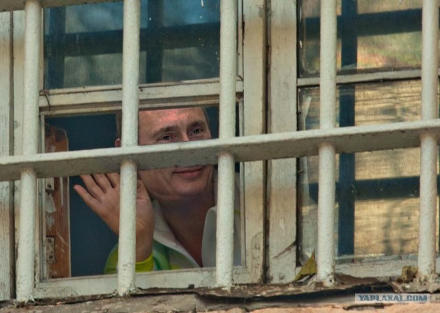 Всем привет от Юлии Тимошенко из тюрьмы