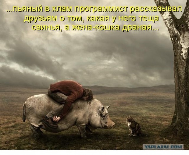 Подкидыш