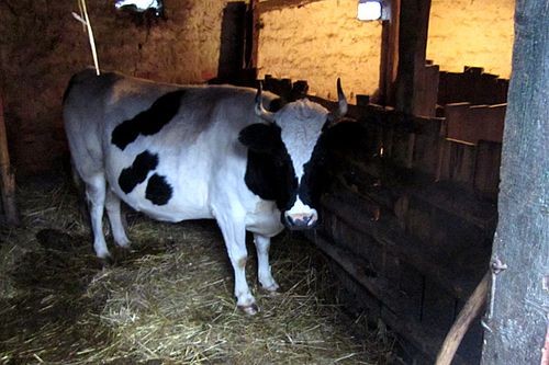 Один день в деревне на забое