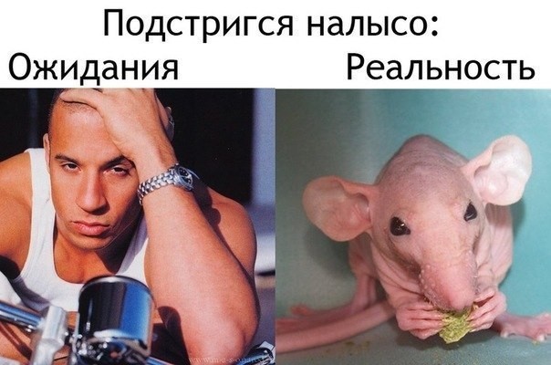 Стрижка налысо