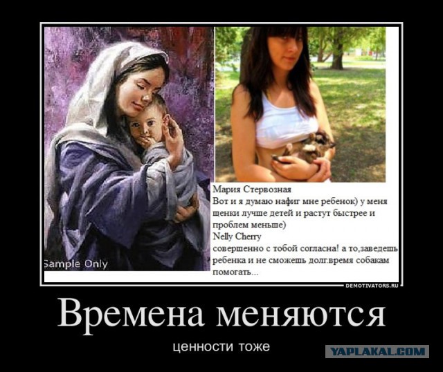 Терпение лопнуло: жители Петербурга, устроили расправу над догхантерами