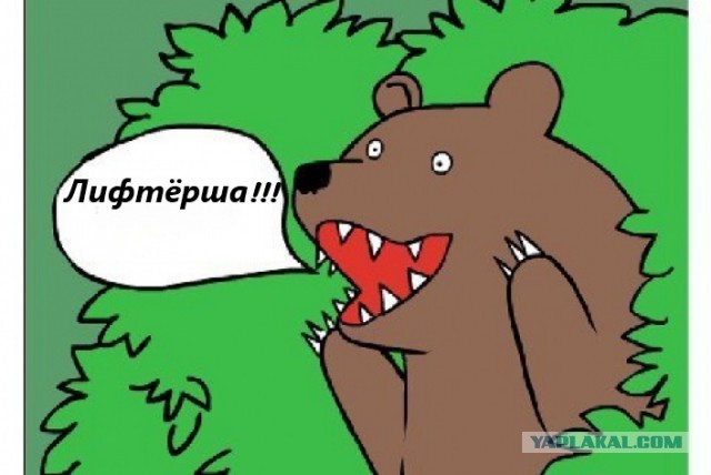 Когда влюбился в лифтёршу