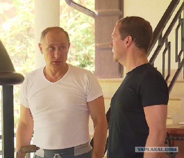 Путин и Медведев качаются
