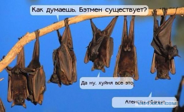 Картинки,ужасы,приколы из интернета,и соц.сетей
