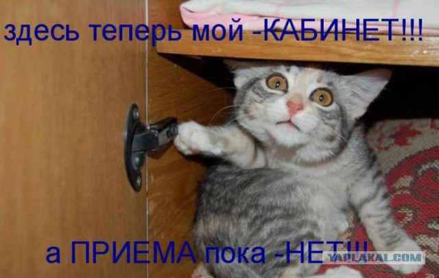 Веселые картинки