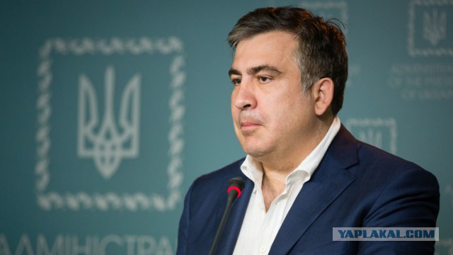 Саакашвили подал в отставку с поста губернатора