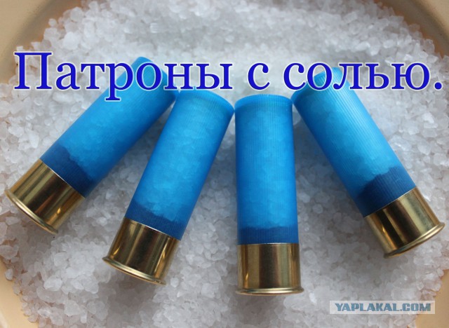 Когда очень хочется что то украсть