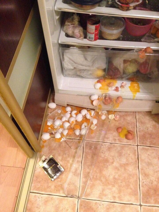 Когда день не задался...