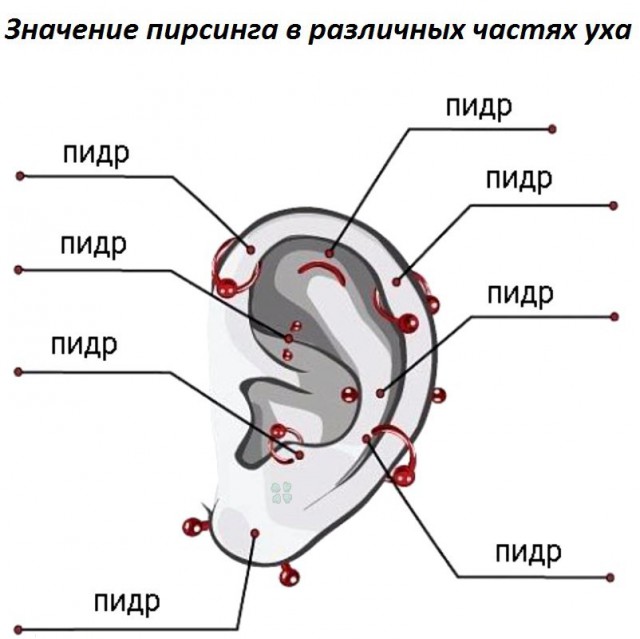 Продолжим деградировать?