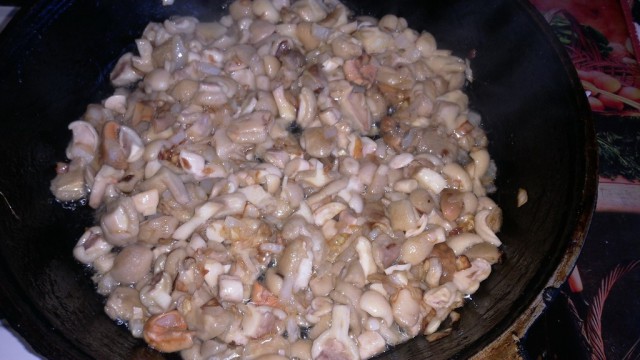Открыл сезон
