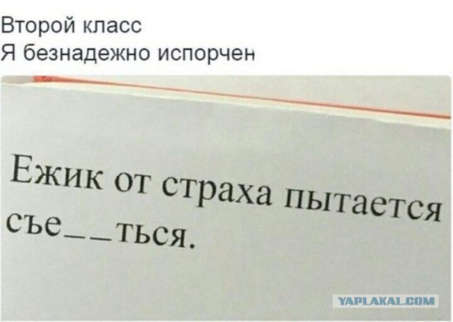 Подборка интересных и веселых картинок