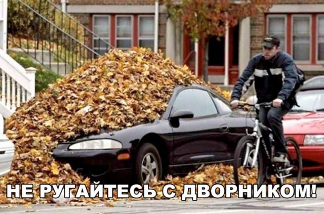 Подборка интересных и веселых картинок