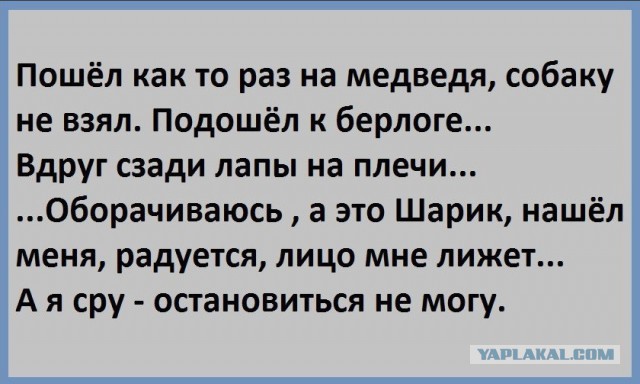 Как добродушный алабай чуть рыбака до психушки не довёл