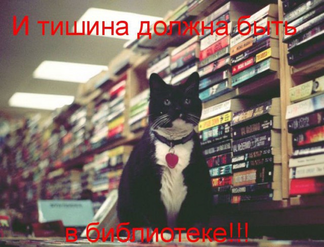 Снесли башню. Упала не в ту сторону