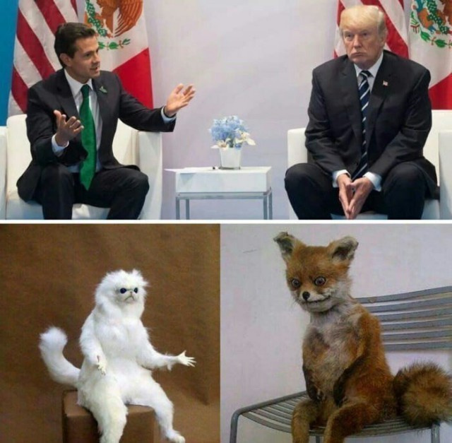 Нестандартный юмор