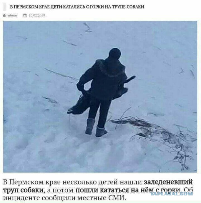 Очередная порция стандартного юмора