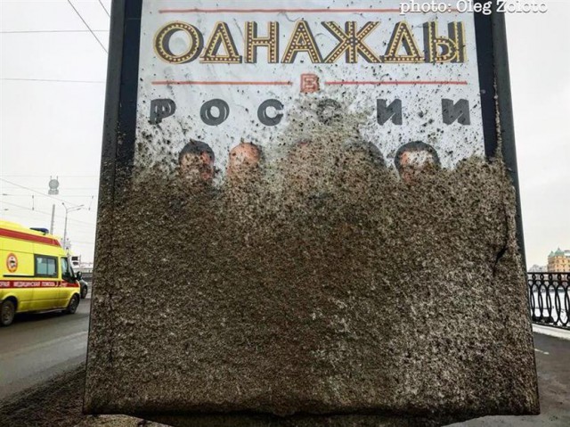 Картинки по-приколу