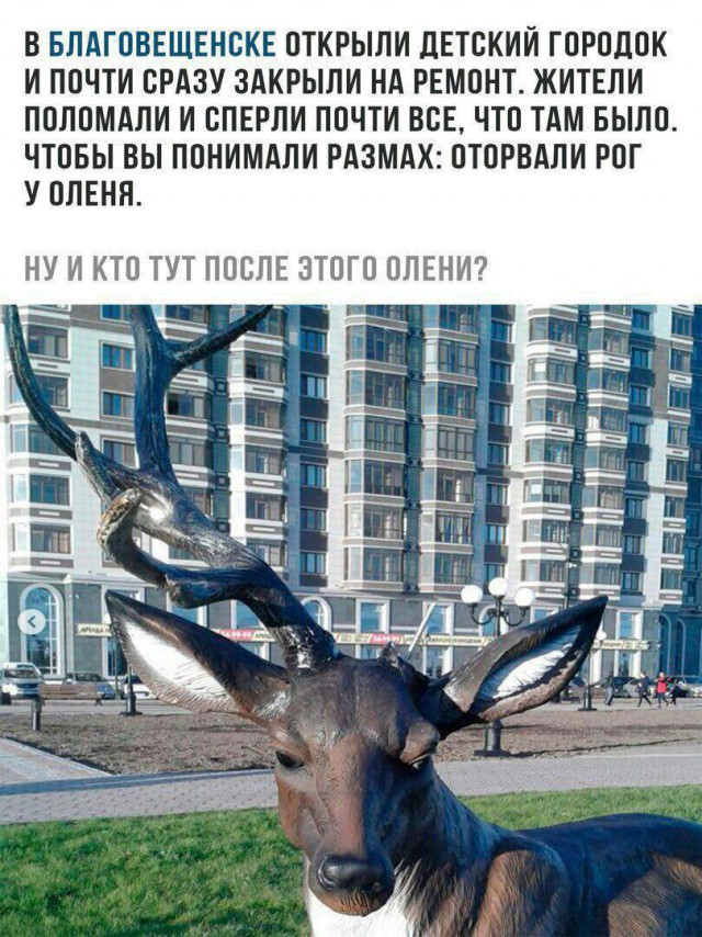 Разруха не в клозетах, а в головах