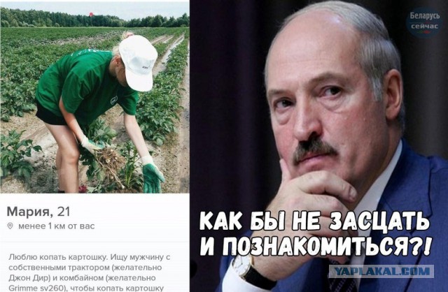 Служба знакомств или "вперёд, к своему счастью!"