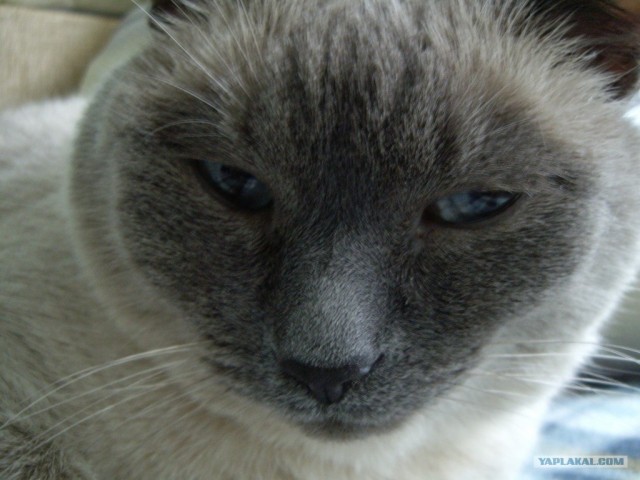 КОТовторник 13.04.2010г.