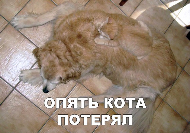 Нестандартный юмор