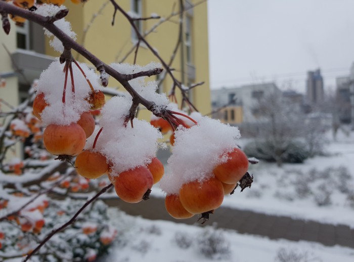 Просто несколько фото сегодняшней прогулки.