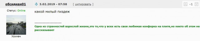 В МВД заявили, что раскритиковавшего Ирину Волк «участкового» не существует.