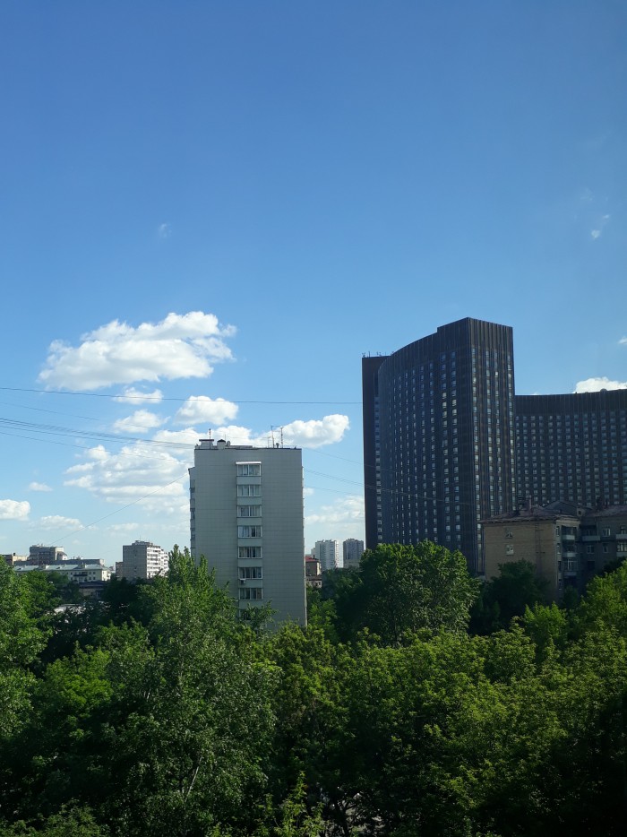 Лето, делимся видом из окна