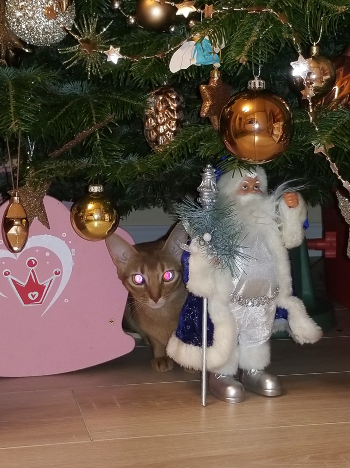 Поднимаем Новогоднее настроение