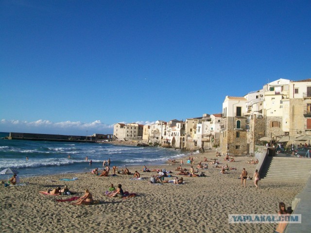 Созерцательное размышление вокруг Пасты в горшке в преддверии лета